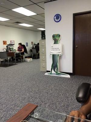 Edward Shelton - Geico Insurance Agent