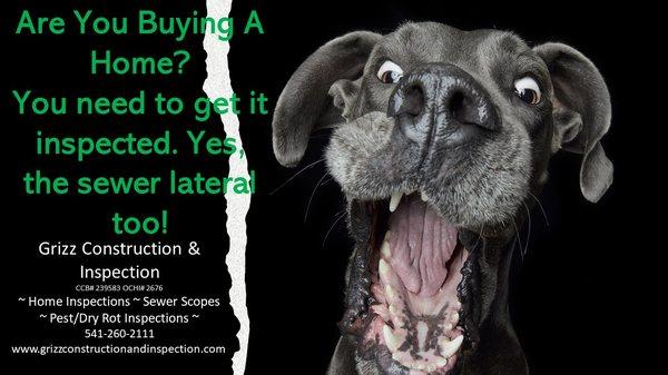 Grizz Inspections