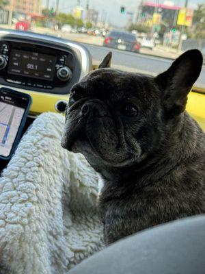 Downtown Los Angeles Farmer's Market