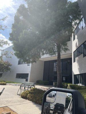 Front of building entrance.