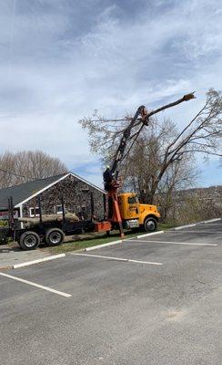 Levesque's Tree Service