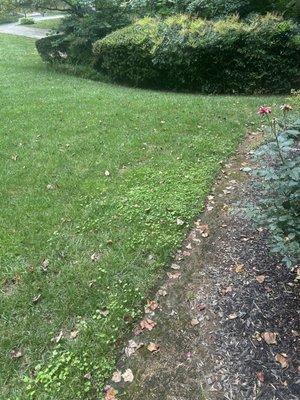 Agropro Lawn Care Specialists