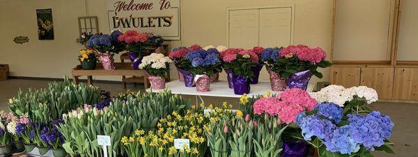 Dwulet's Farm & Garden