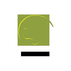 CJL Design & Landscaping