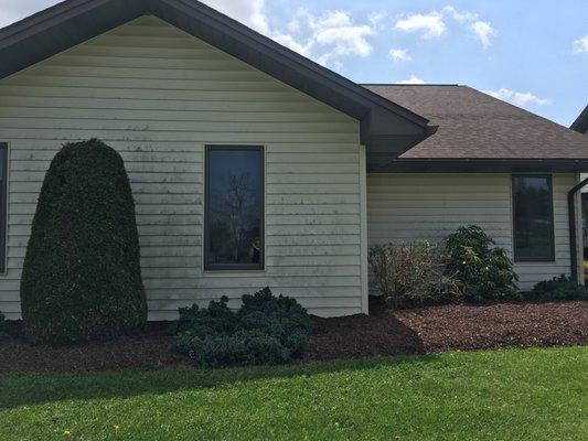 A J C Argenio Janitorial