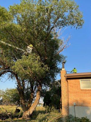 Supreme Tree Experts Utah