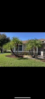 Trim + Proper Landscaping