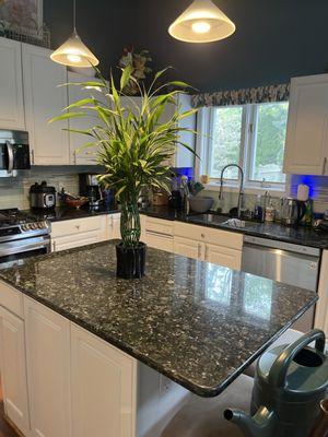 The Lady That Cleans