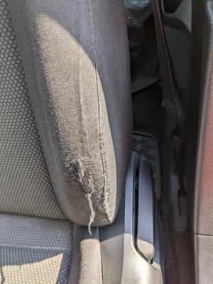 Auto Weave Upholstery