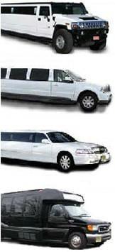 Amechi Limousine