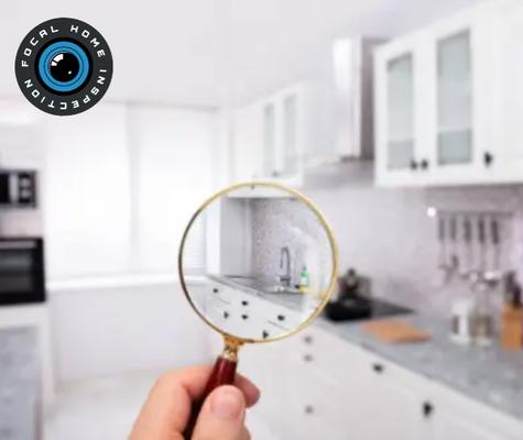 Focal Home Inspection