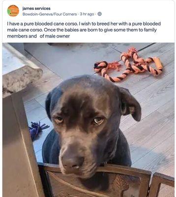 Jl Property Services