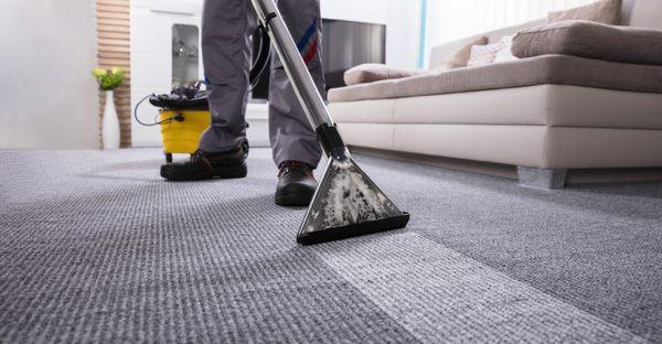 Rapid Carpet Cleaning