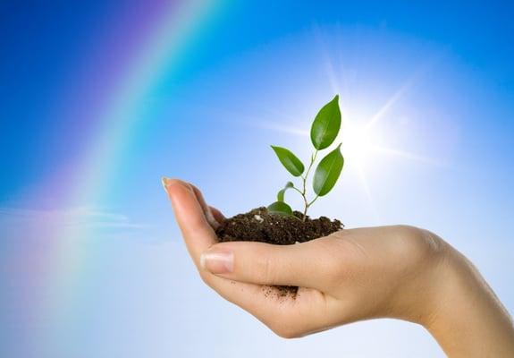 Synergy Corporate Wellness