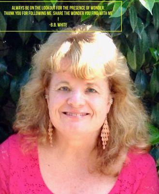 Laura LaPointe, LMFT, Helping you let go of the past and move forward. I specialize in PTSD, Parenting,Grief, Women in Transition