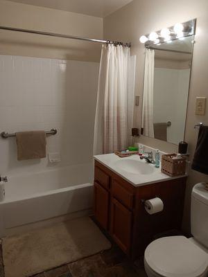 The Hands That Clean