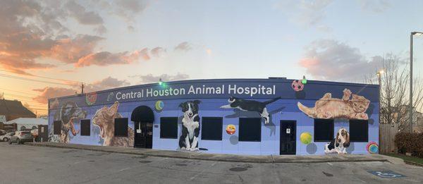 Central Houston Animal Hospital