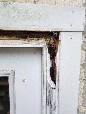 Pacem Handyman Service