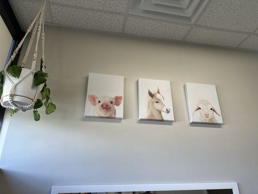 Shine Pediatrics and Wellness Center