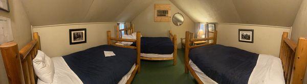 Tent cabin horsetail B