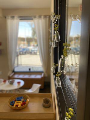 BunnyBears Preschool