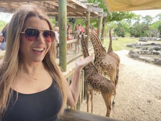 Countryside High School