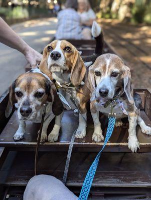 Getting set for a train ride