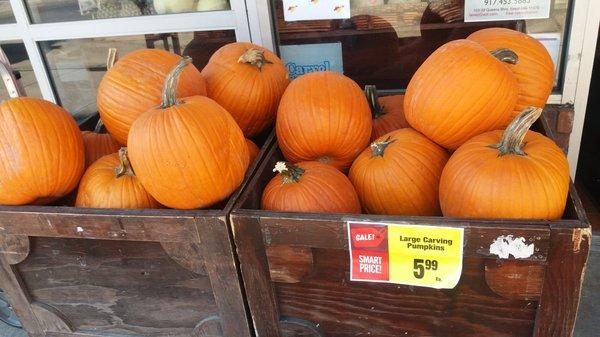 This pumpkin season.