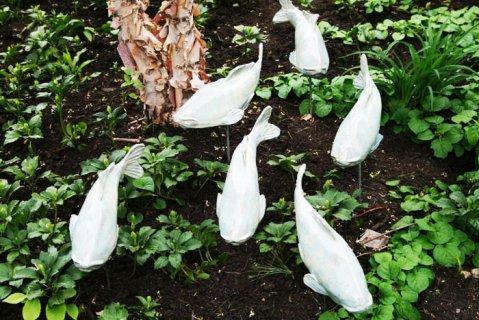 RP Nurseries