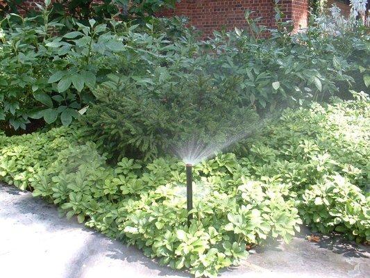 Winchel Irrigation