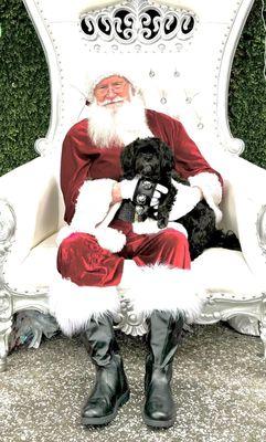 Atlantic Veterinary Hospital