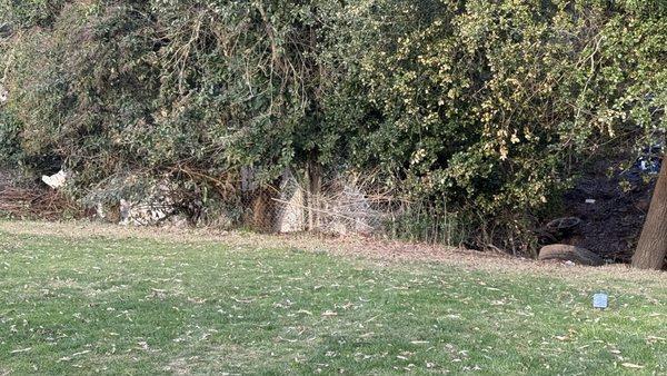 Dry Creek Ranch Golf Course