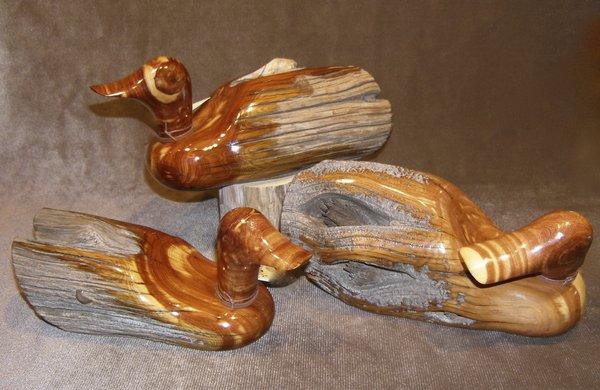 Environmental Realists