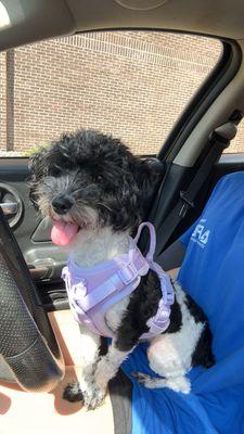 Terry's Pets & Supplies