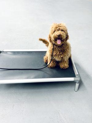 One of our Graduates, Lucy