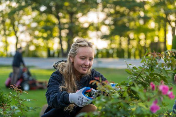 TruNorth Landscaping