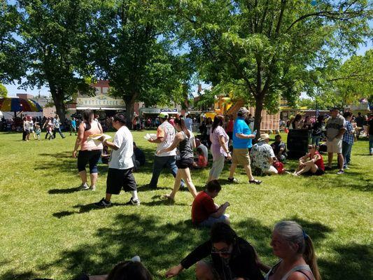 Twin Falls Western Days