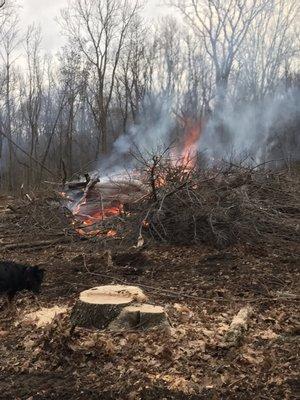 Dam 1 Forest Preserve