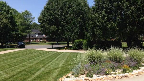 Mighty Men Property Services