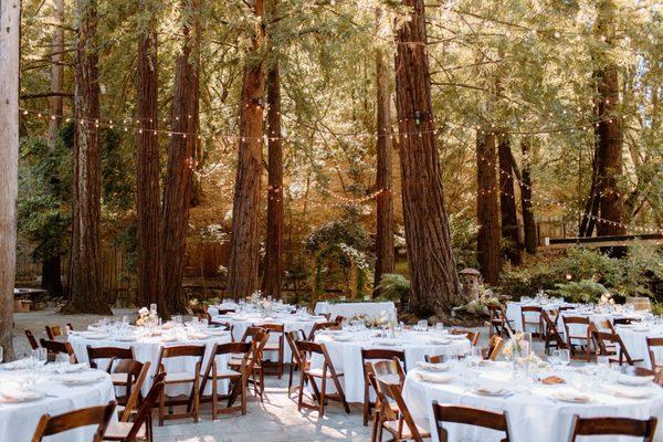 Bowties & Bubbly Events