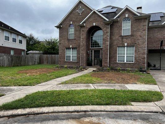 Martinez Professional Trees