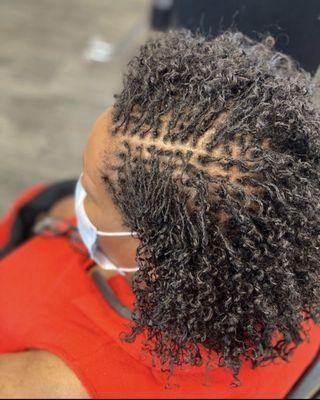 Timeless Attractions Spa & Beauty