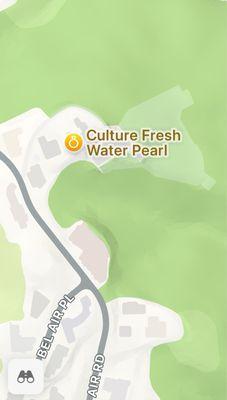 Culture Fresh Water Pearl