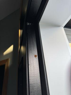 Window Concepts of Minnesota