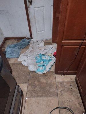 Mike Diamond Services