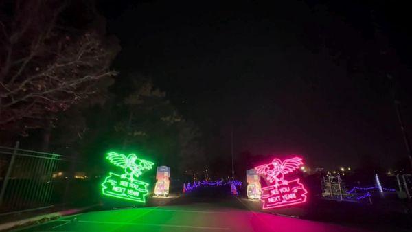 Enchanted Safari by World of Illumination | Rees's Roots