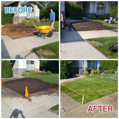 KC Tree and moss Removal offers landscaping services. We also do moss removal on roofs and other pressure washing service's.