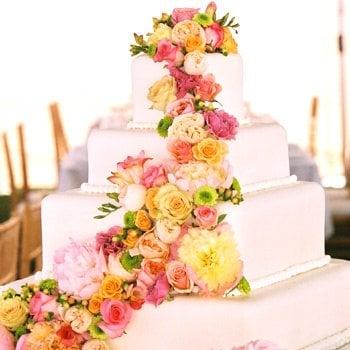 Blooms Of Winter Park