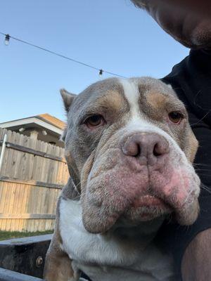 Sunbury Veterinary Clinic