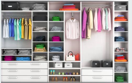 Fishhawk Home Organizing